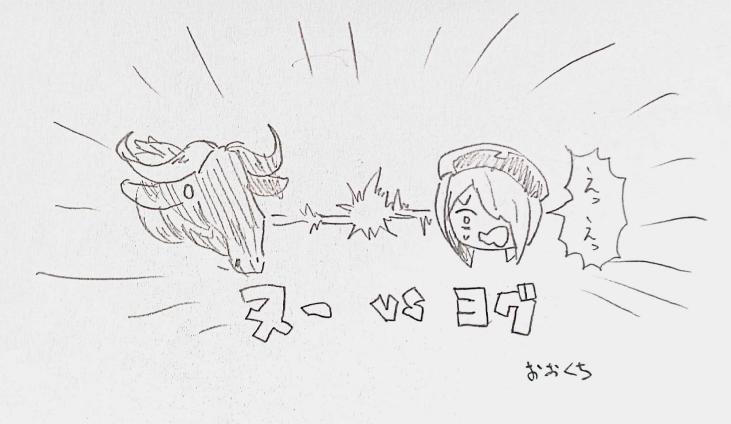 ヌーvsヨグ
