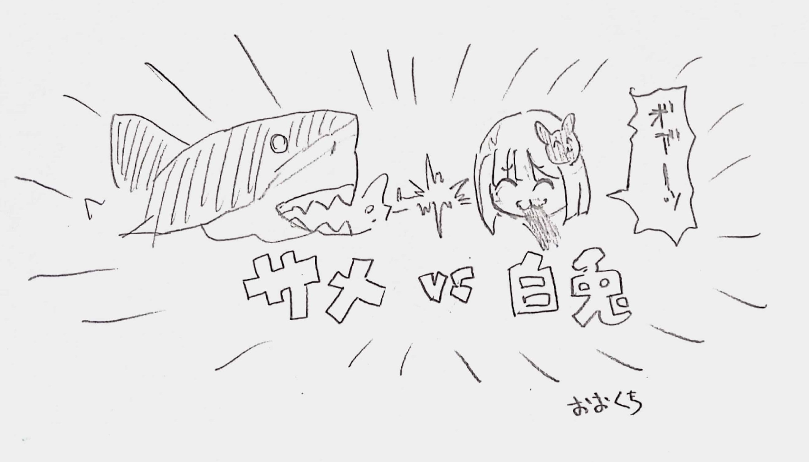 サメvs白兎