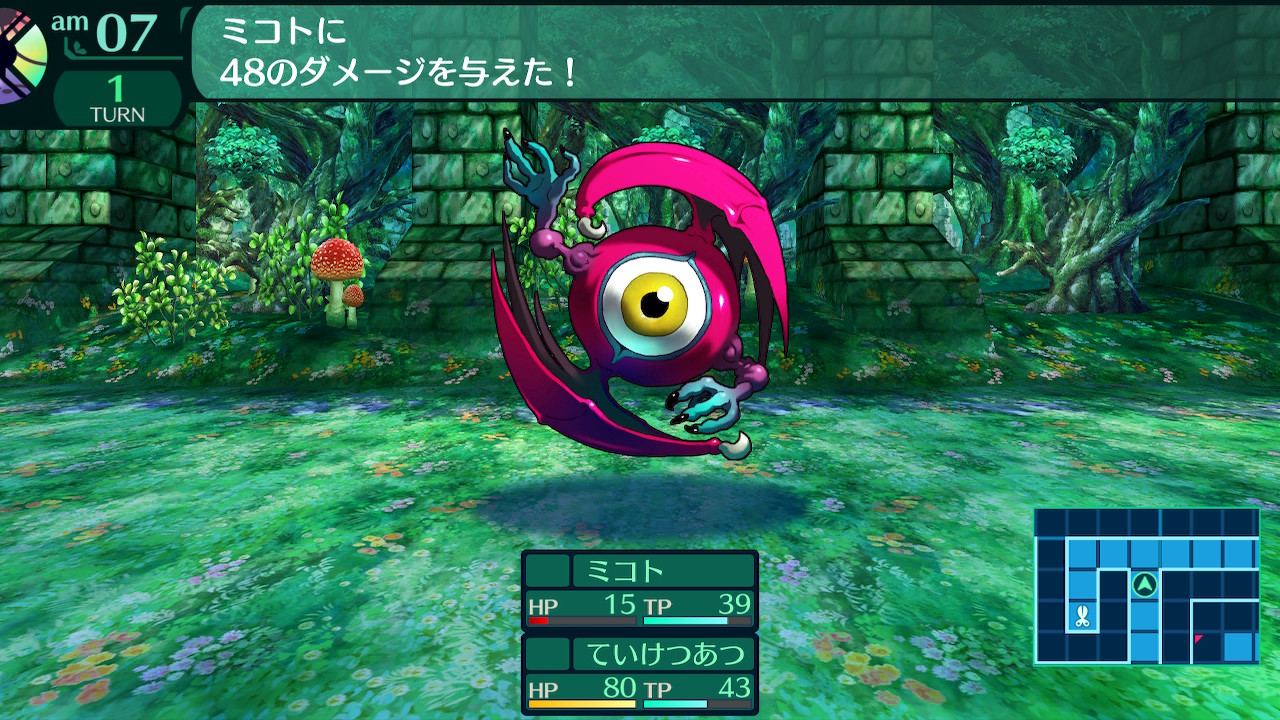 ハイラガ