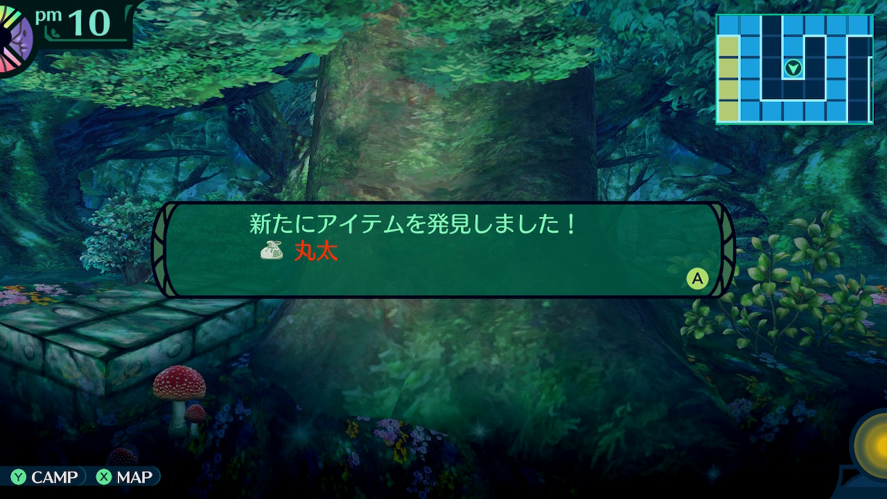 ハイラガ