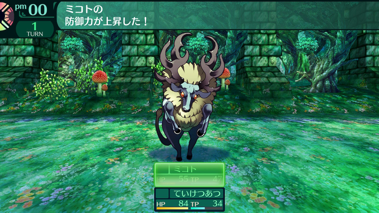 ハイラガ