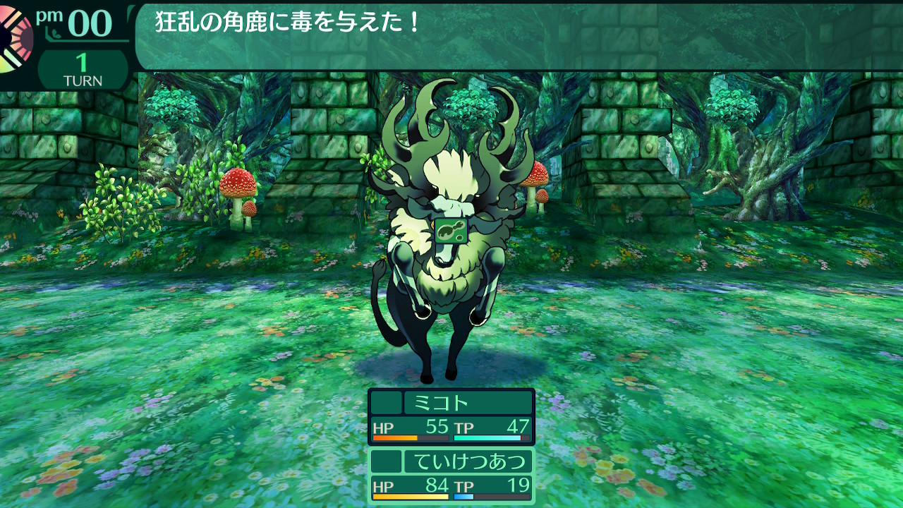 ハイラガ