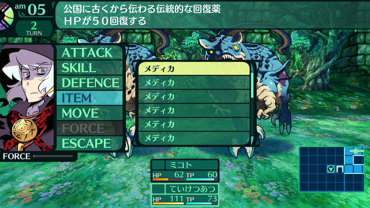 ハイラガ
