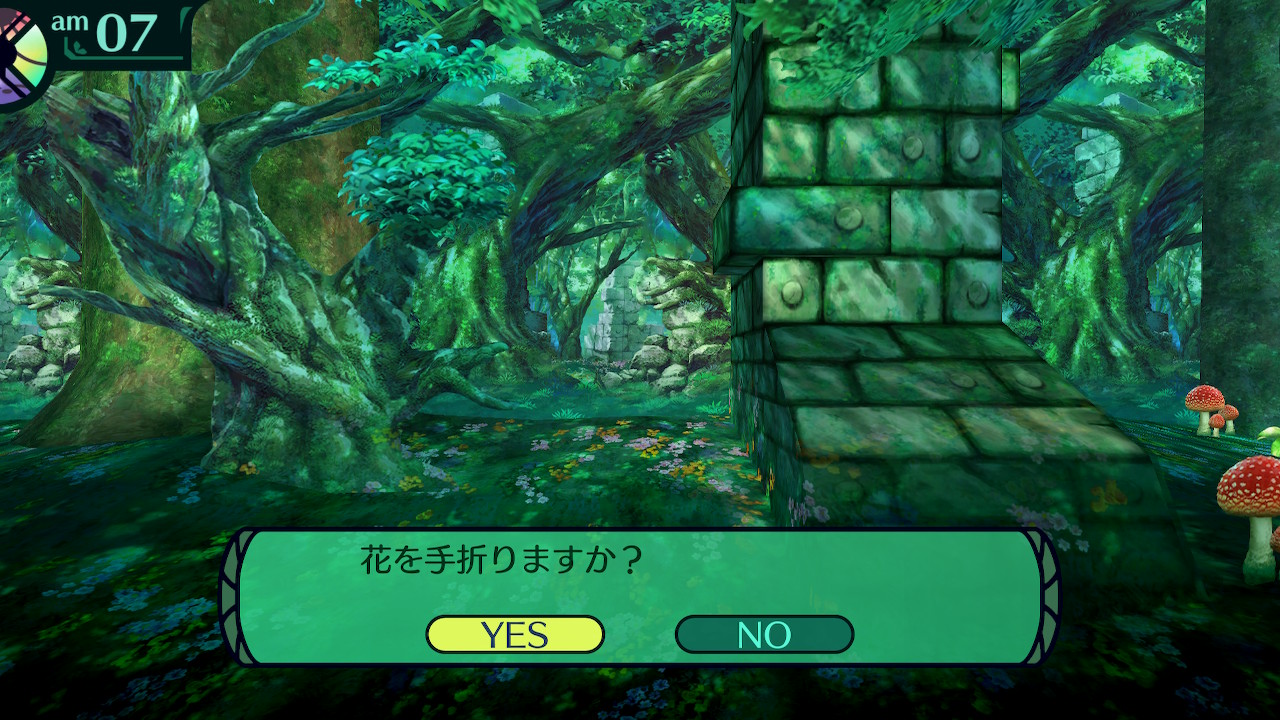 ハイラガ
