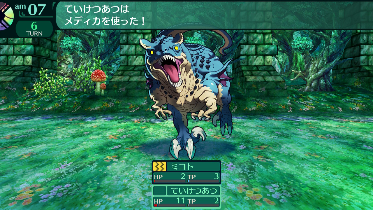ハイラガ