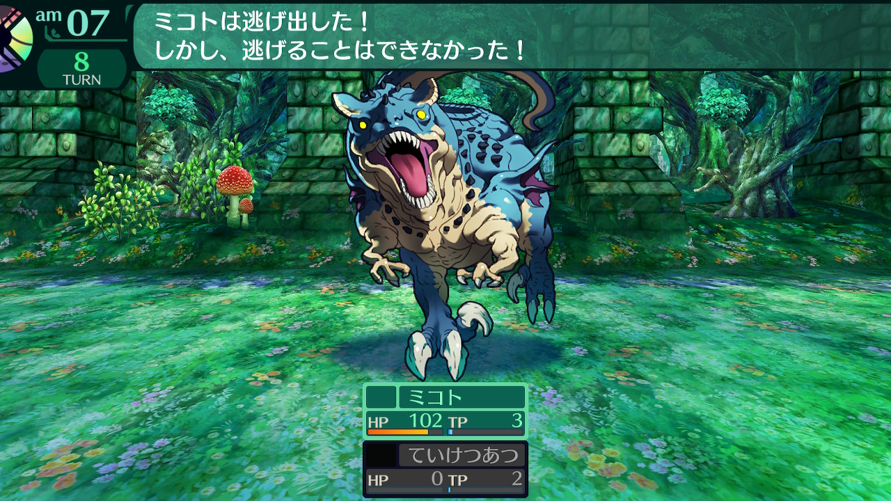 ハイラガ