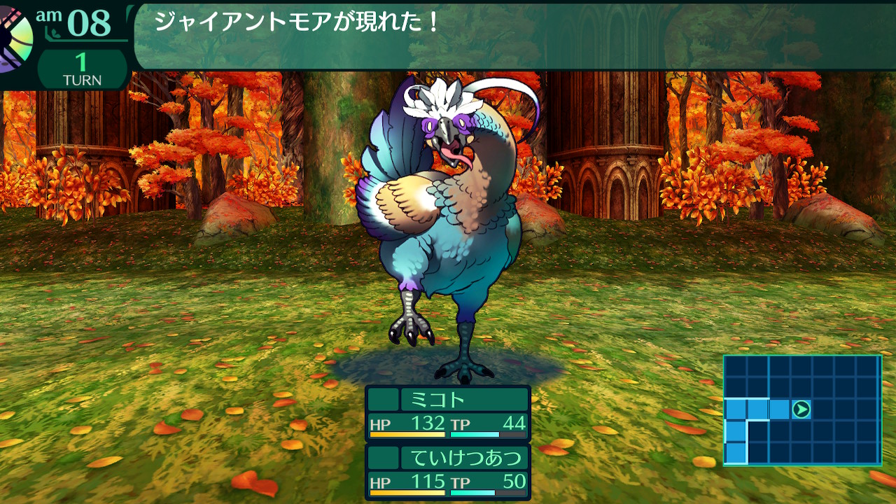 ハイラガ