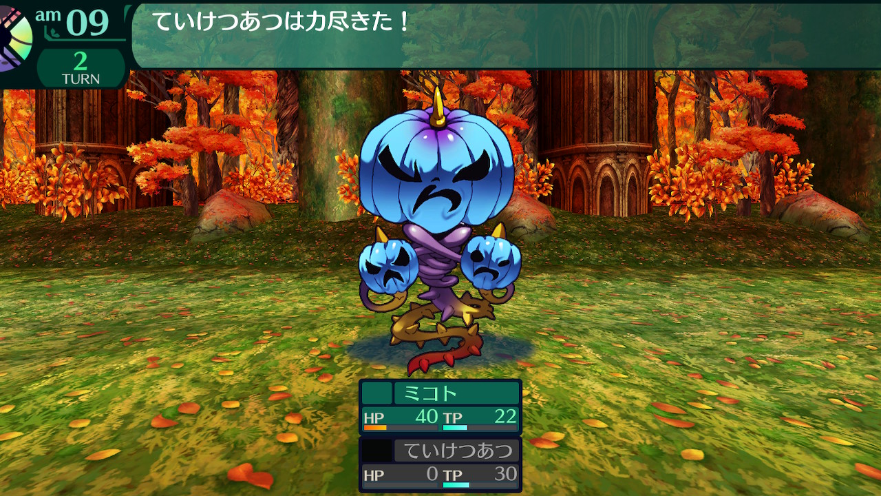ハイラガ