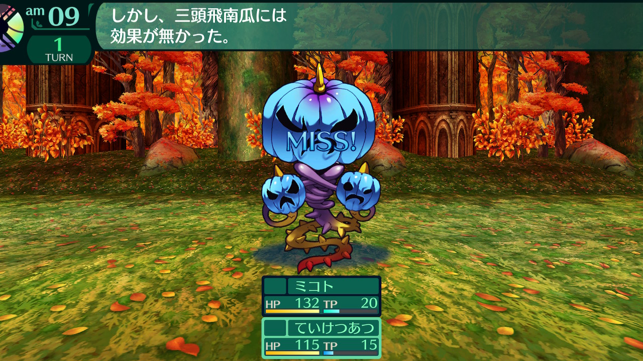 ハイラガ