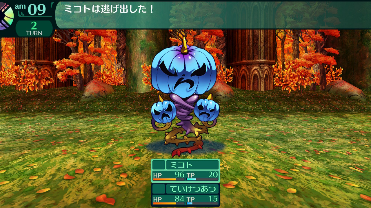 ハイラガ