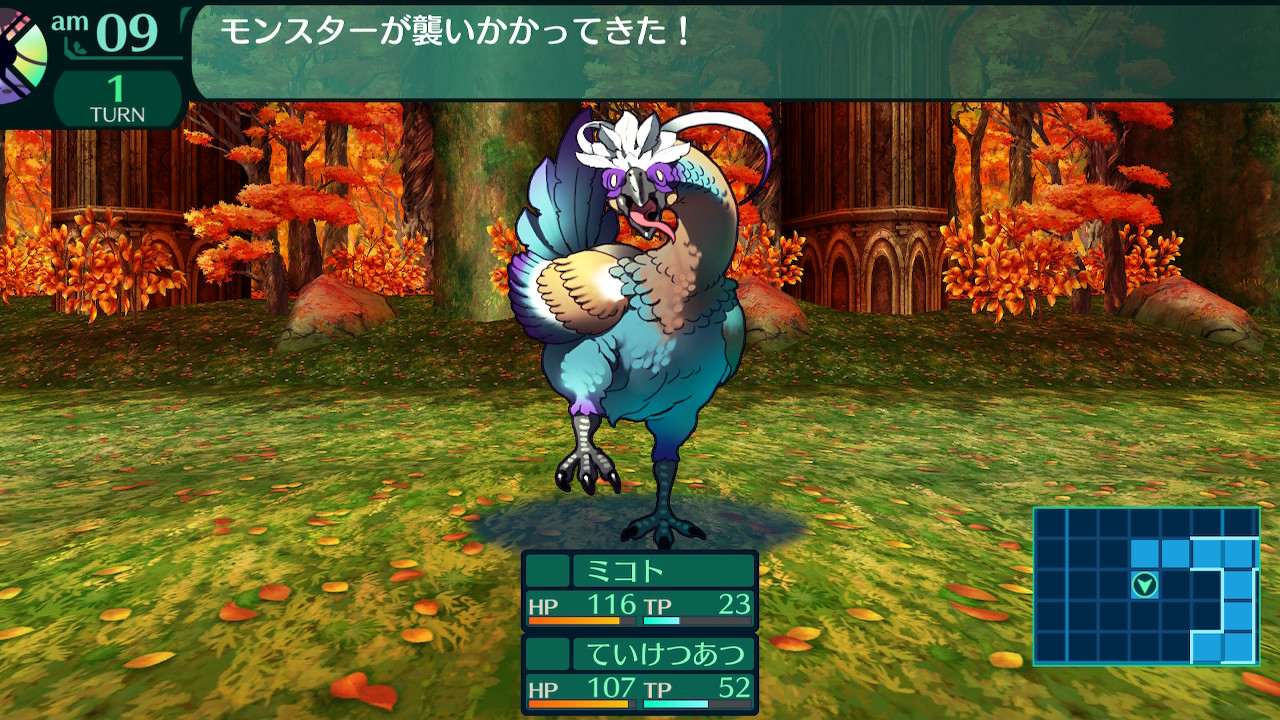 ハイラガ