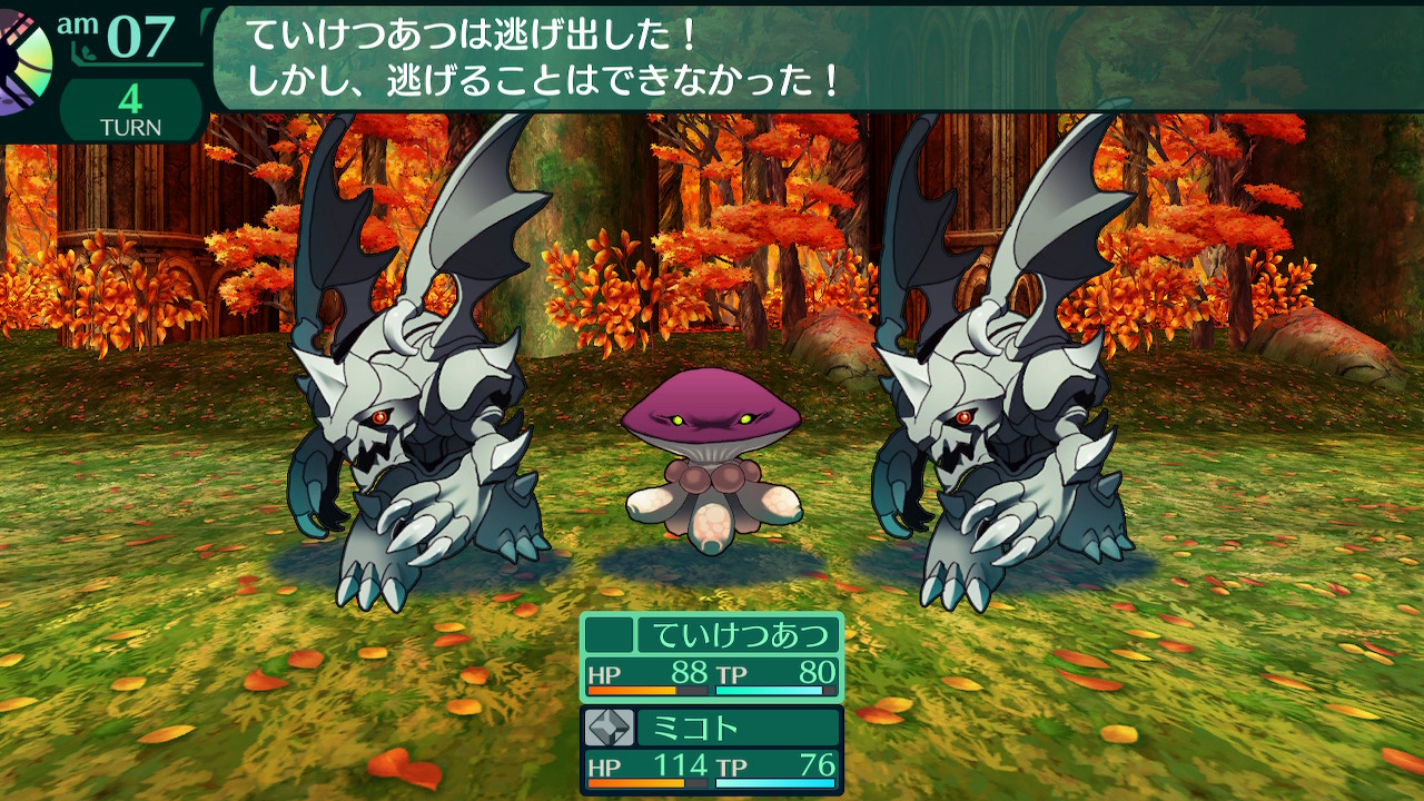 ハイラガ