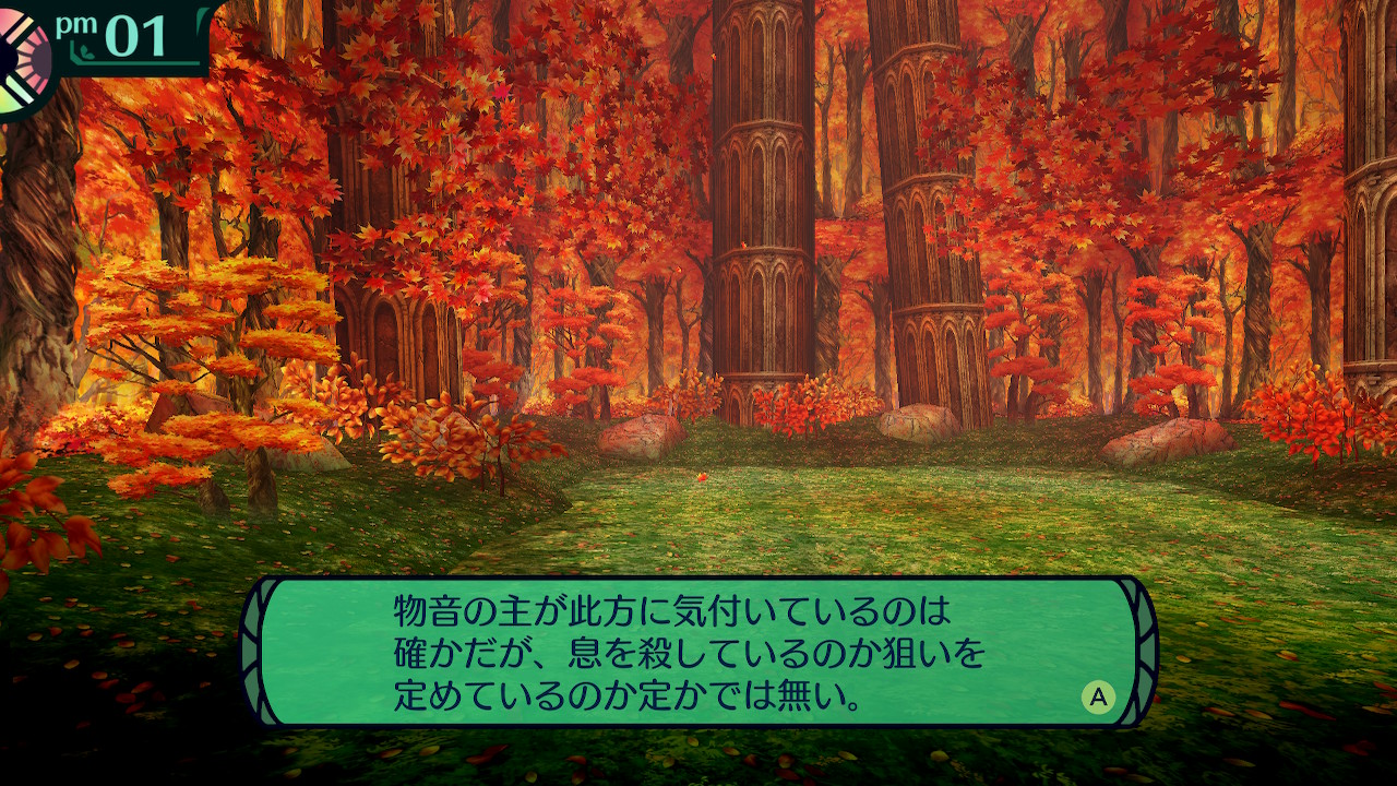 ハイラガ
