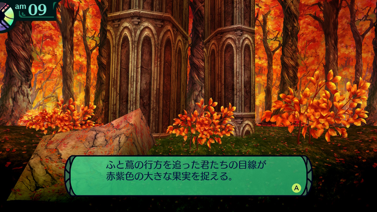 ハイラガ