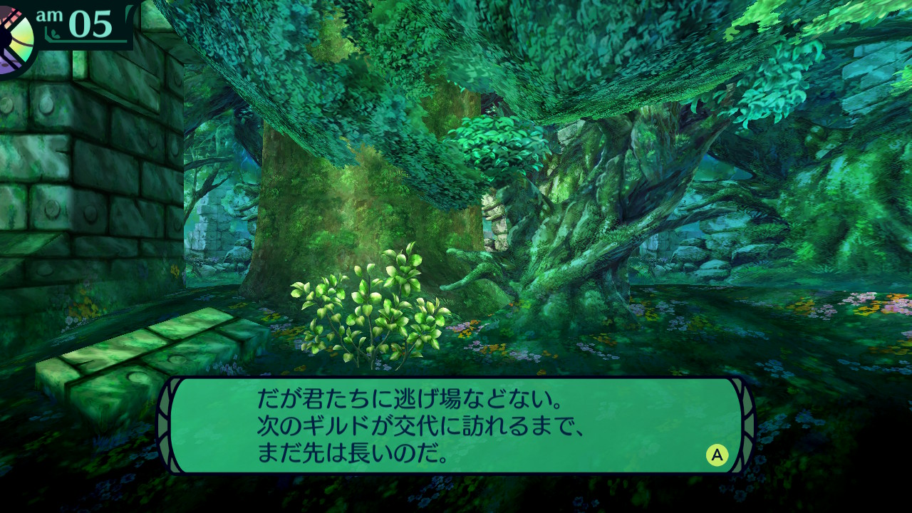 ハイラガ