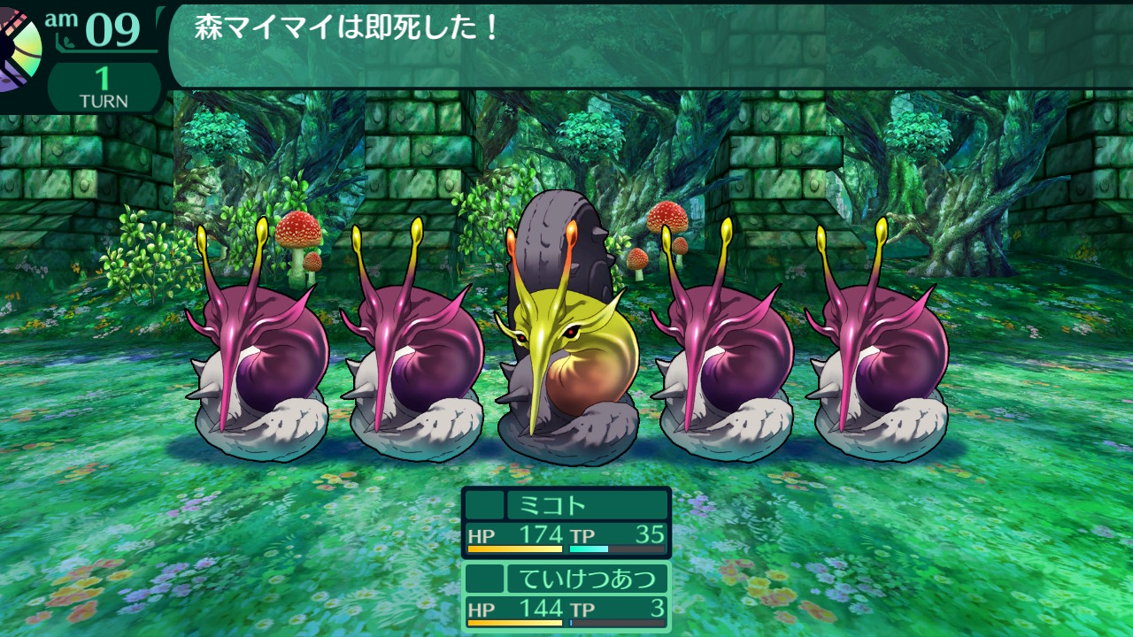 ハイラガ