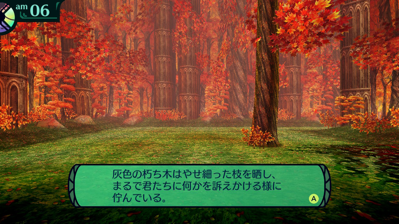 ハイラガ