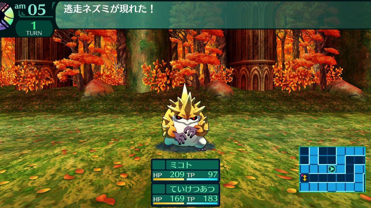 ハイラガ