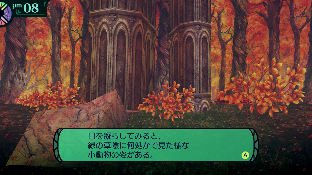 ハイラガ