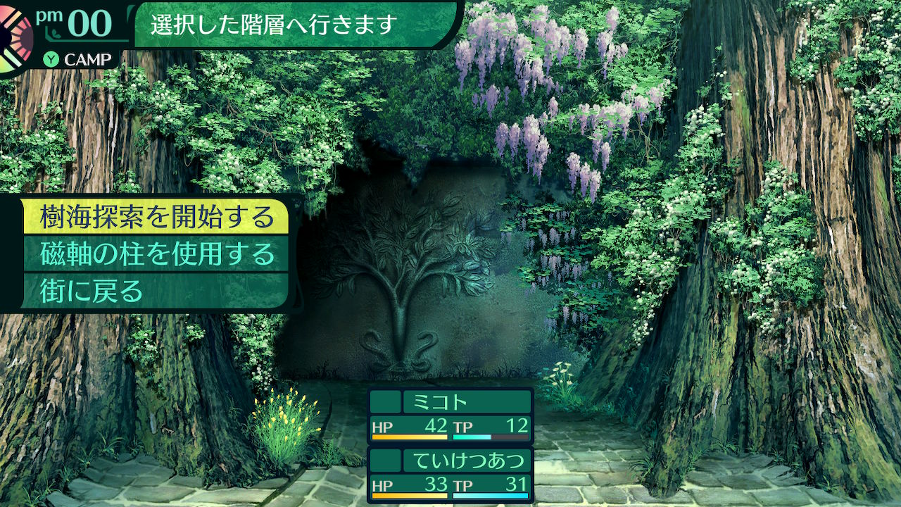 樹海へ