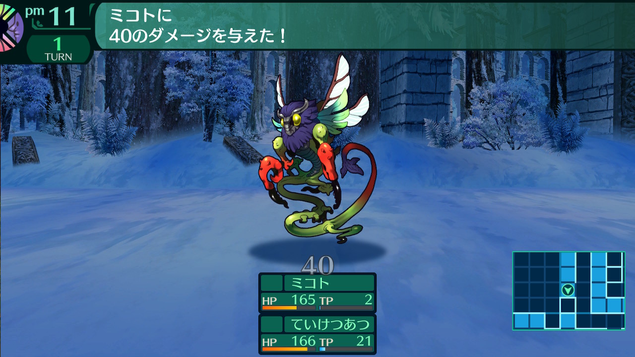 ハイラガ