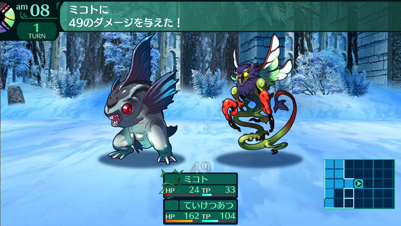 ハイラガ