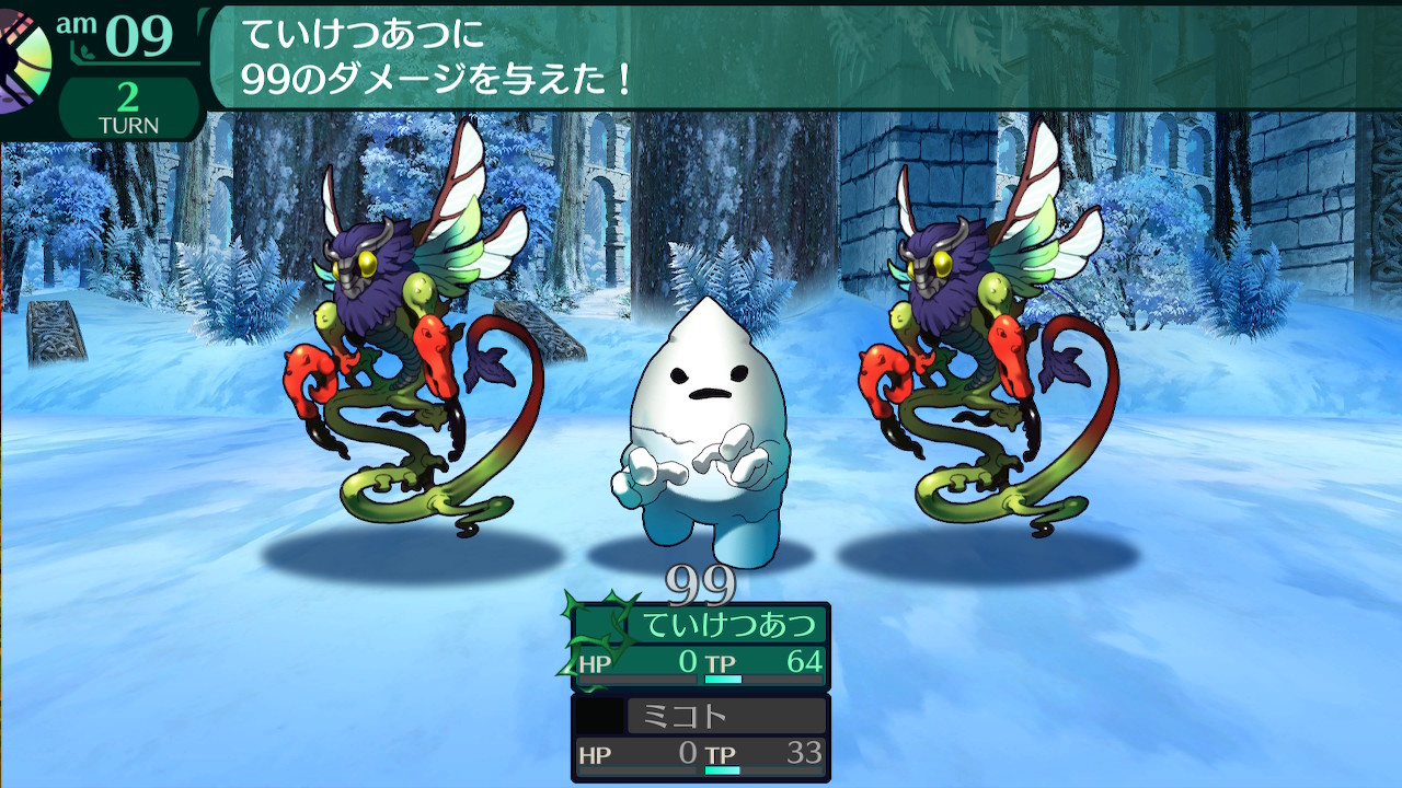 ハイラガ