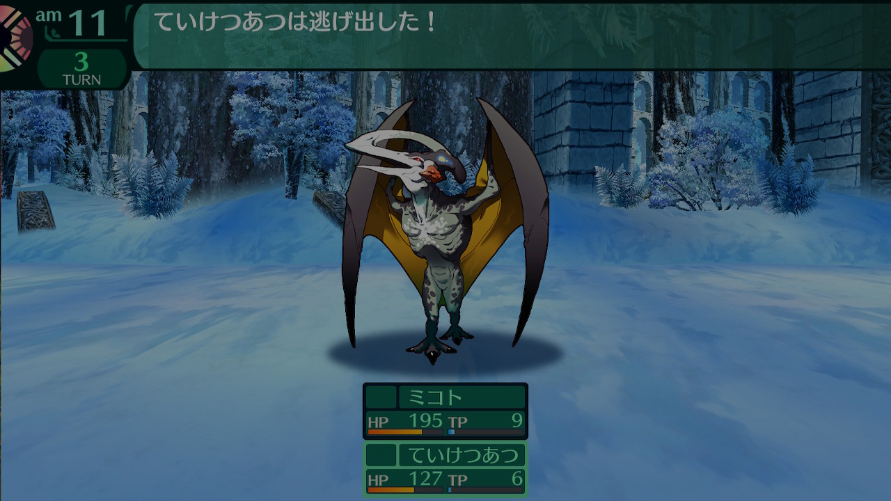 ハイラガ