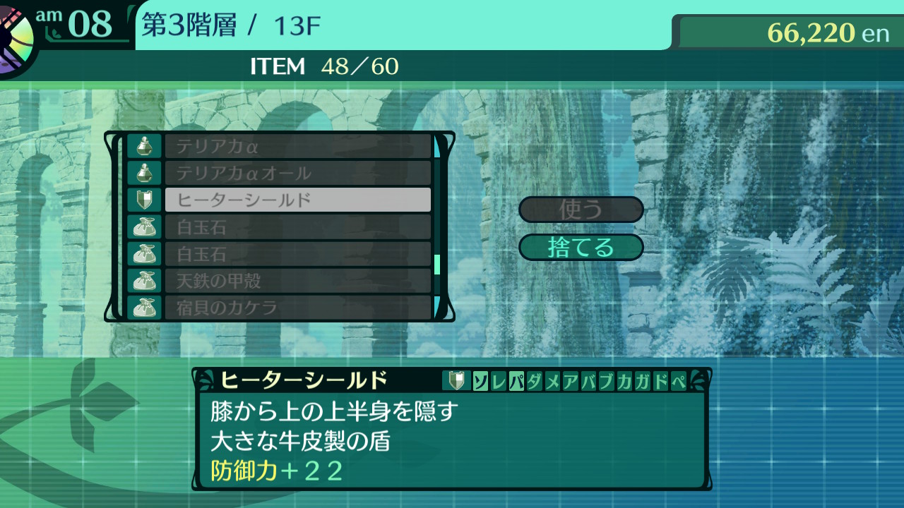 ハイラガ