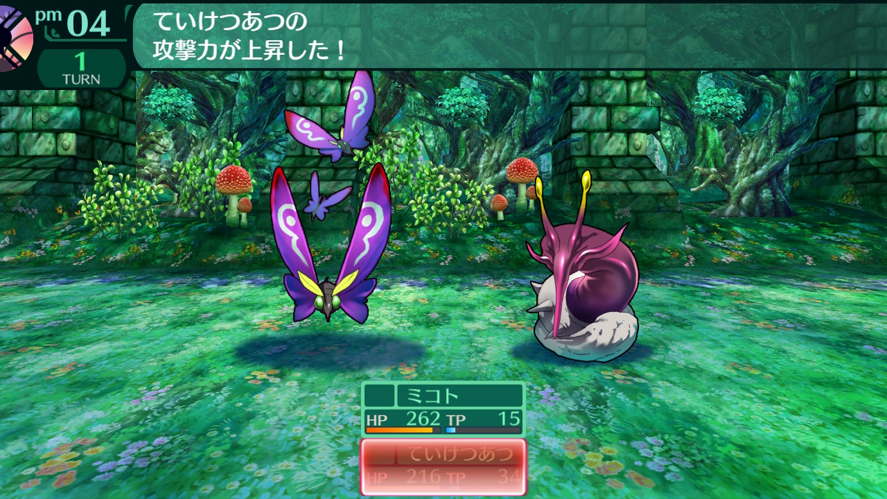 ハイラガ