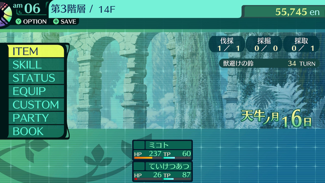 ハイラガ