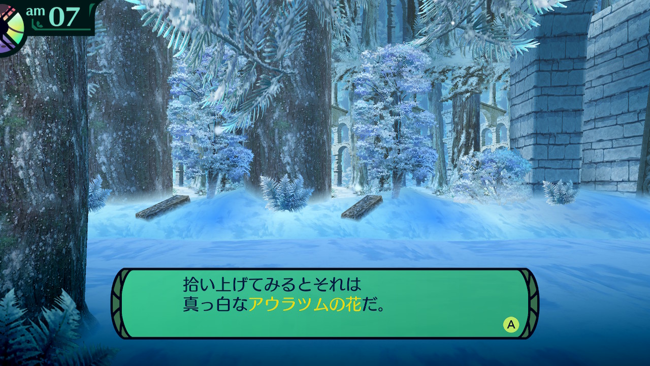ハイラガ