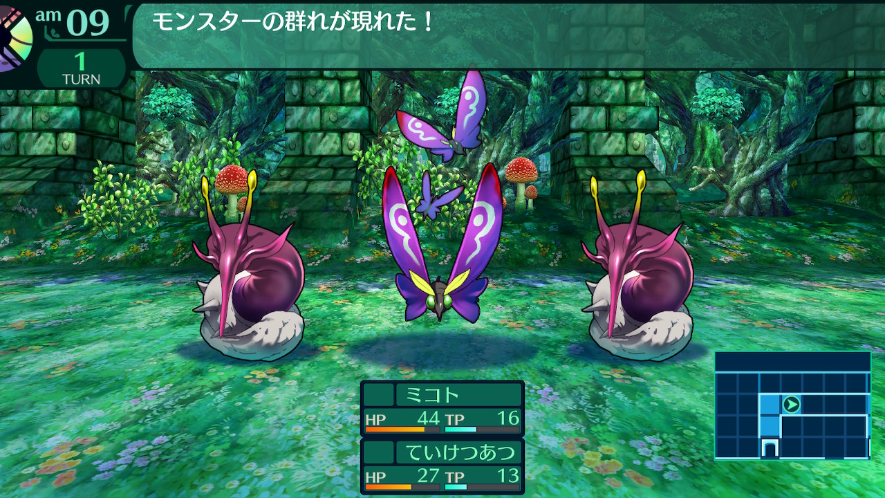 ハイラガ