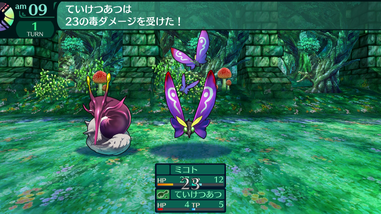 ハイラガ