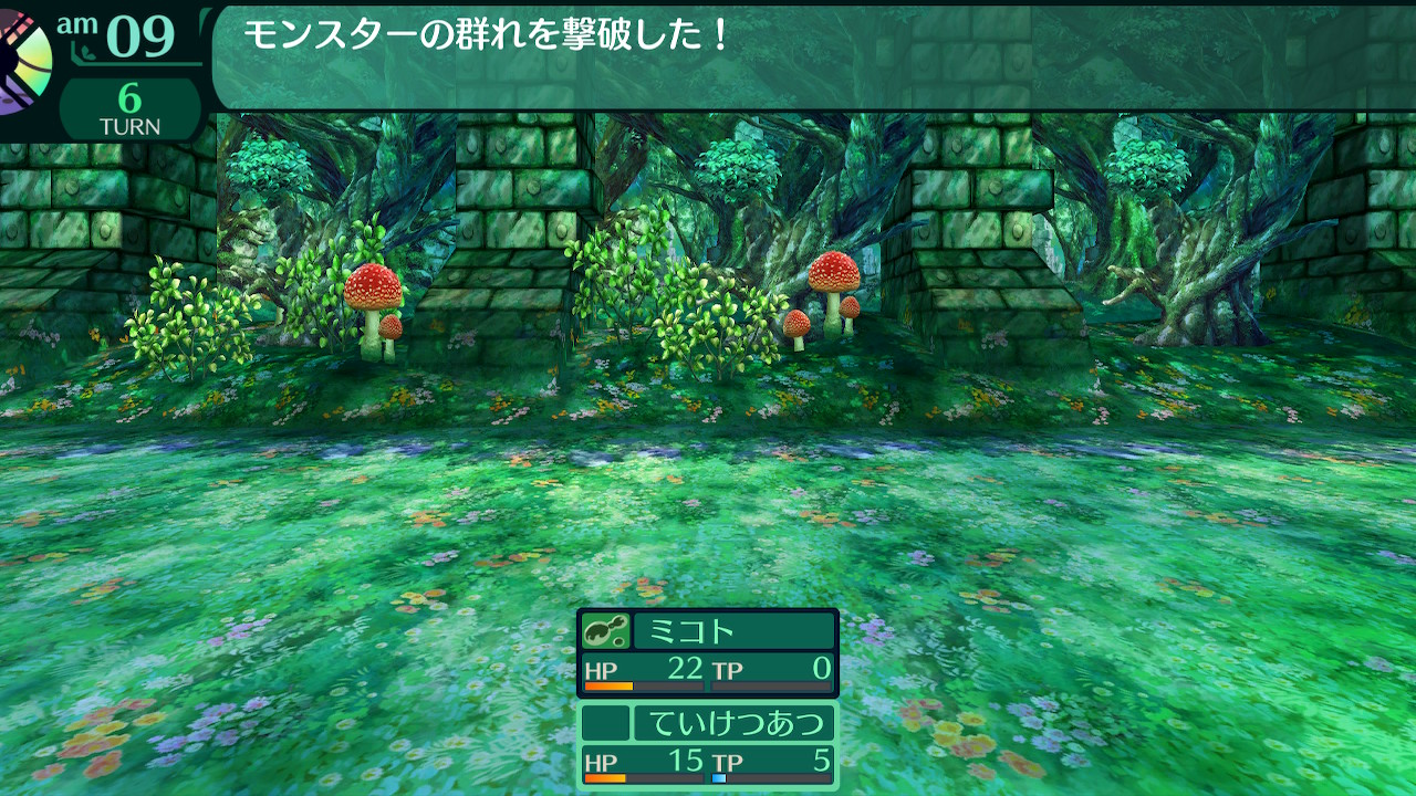 ハイラガ