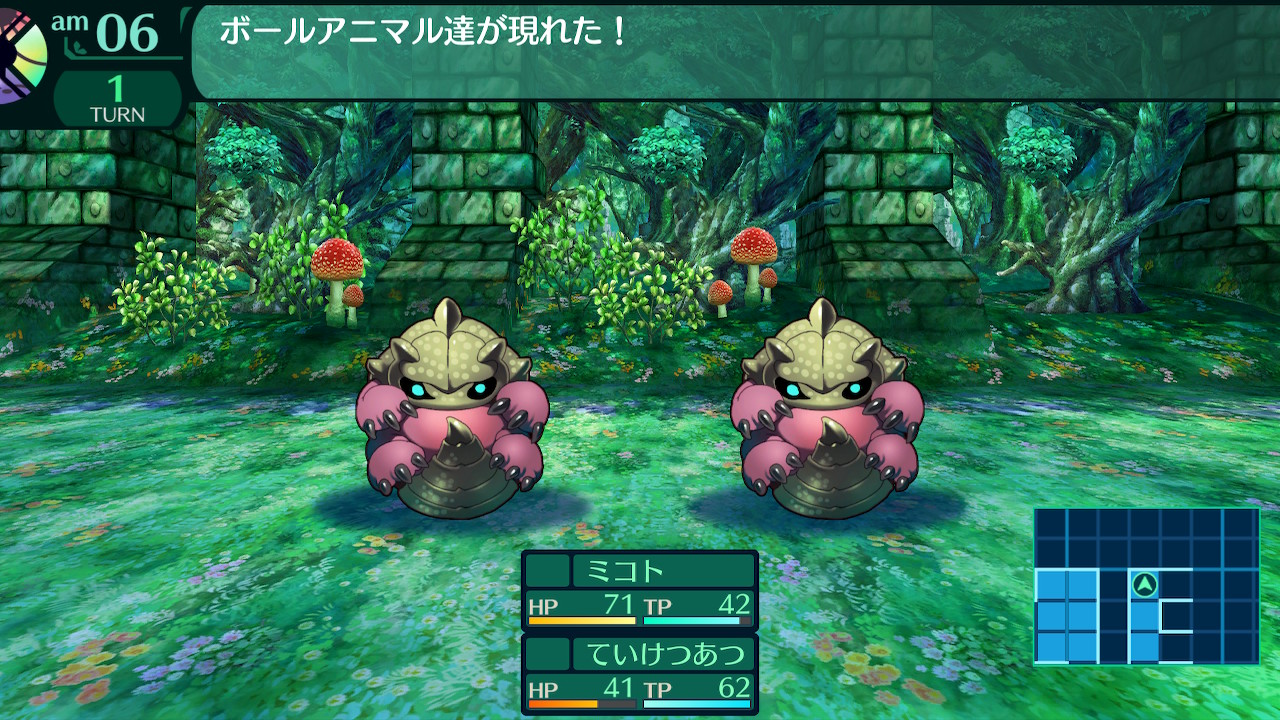 ハイラガ