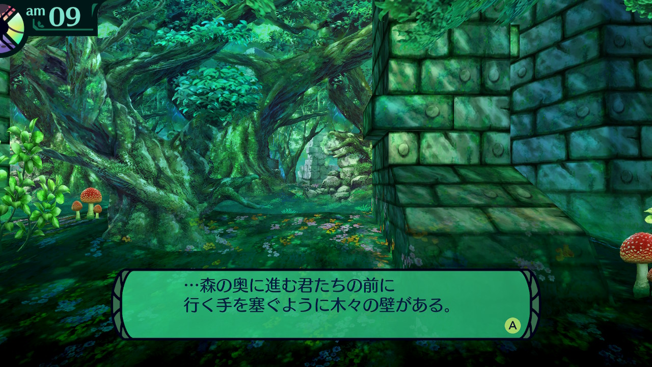 ハイラガ