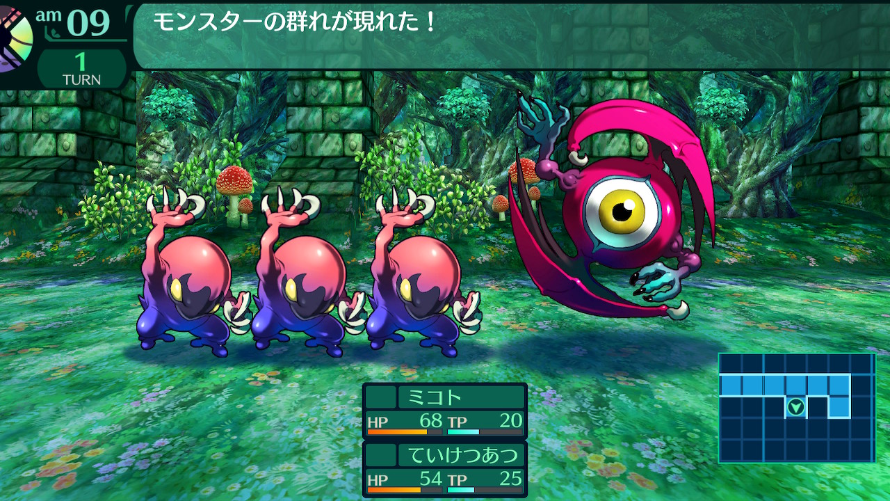 ハイラガ