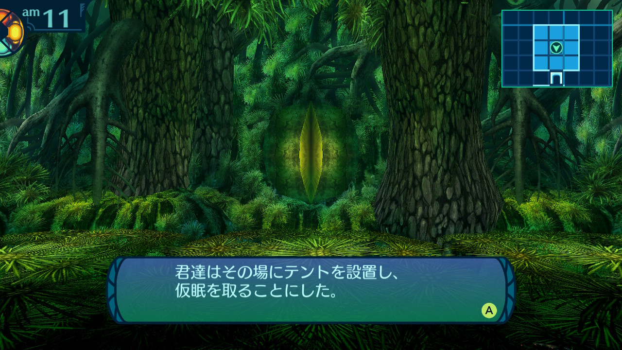 アモロ