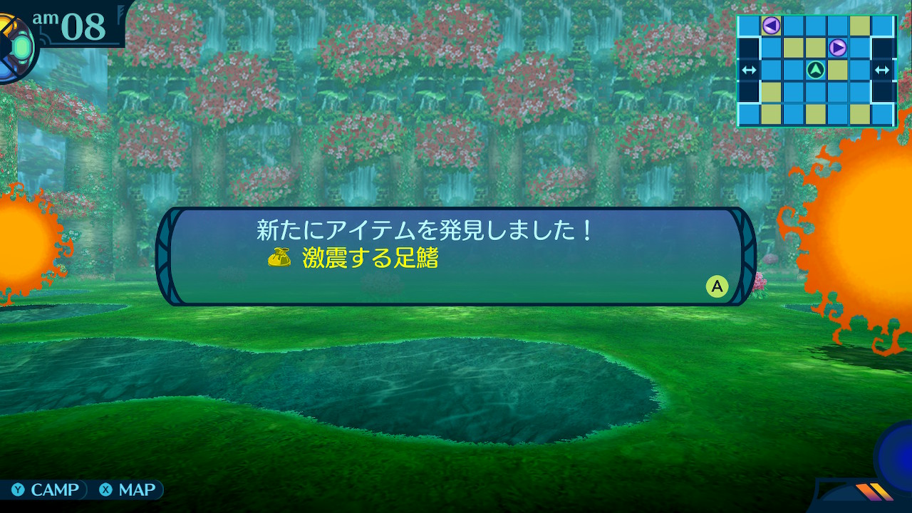 アモロ