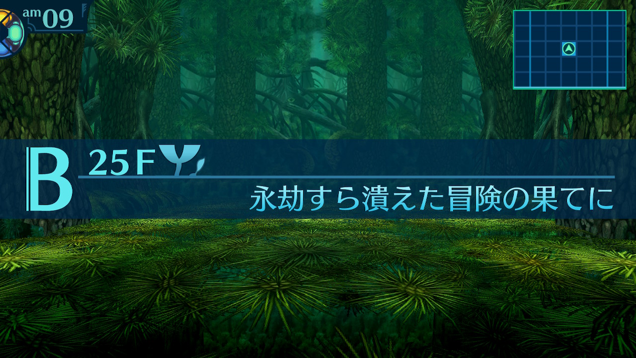アモロ