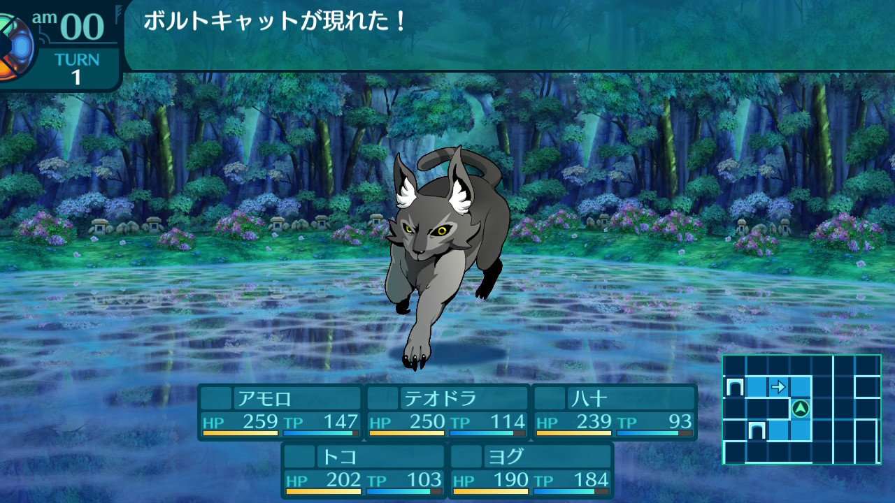 アモロ