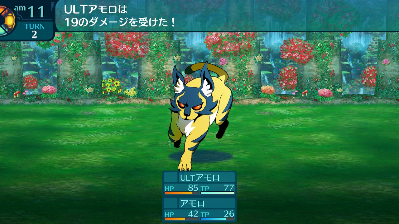アモロ