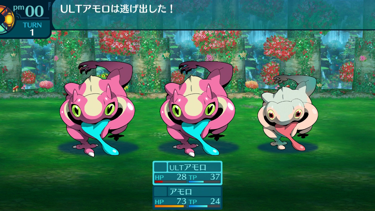 アモロ