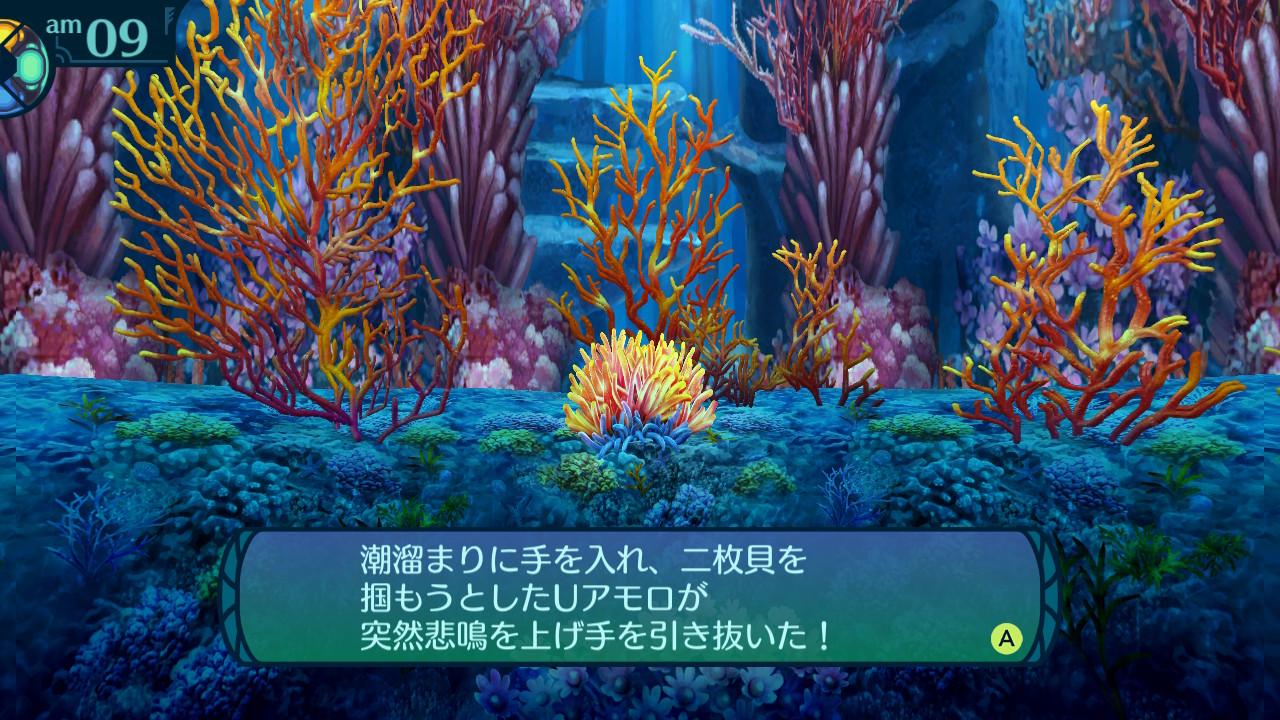 アモロ
