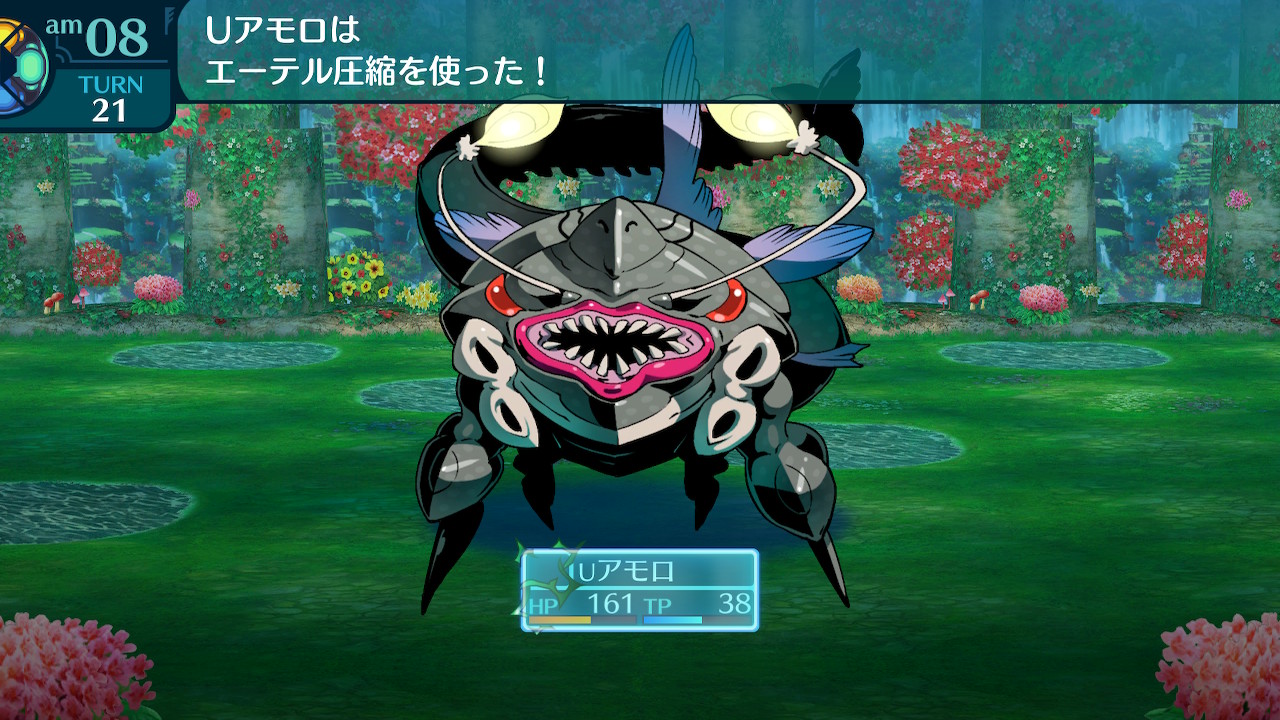 アモロ