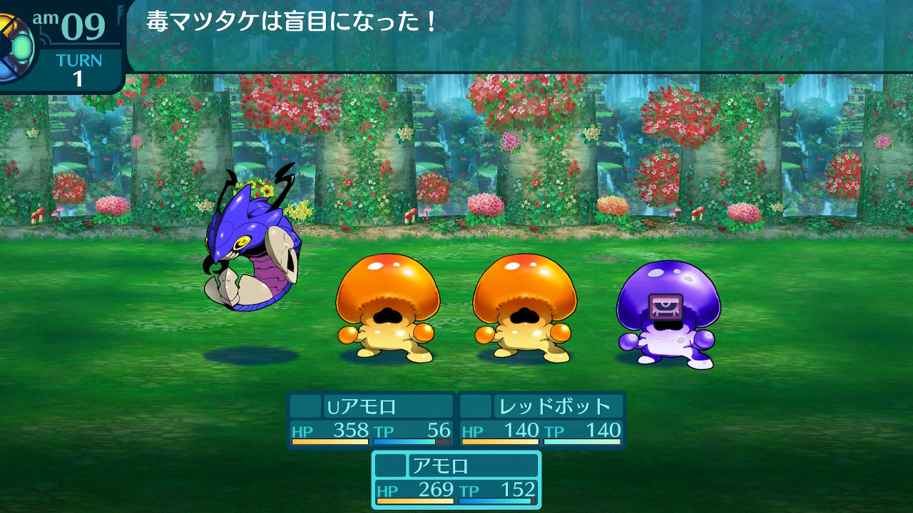 アモロ