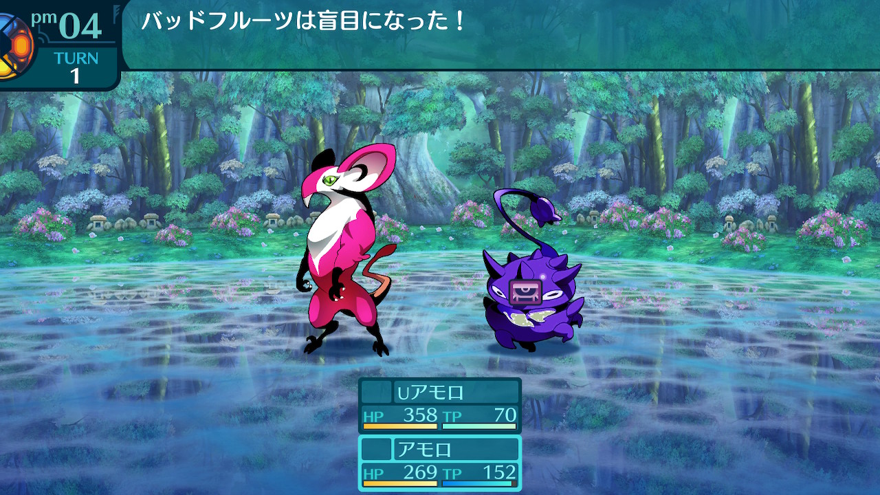 アモロ