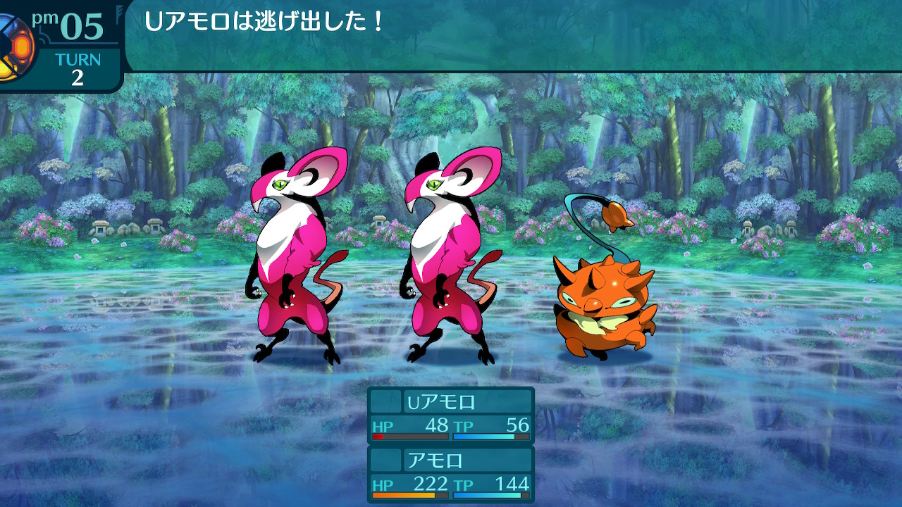 アモロ