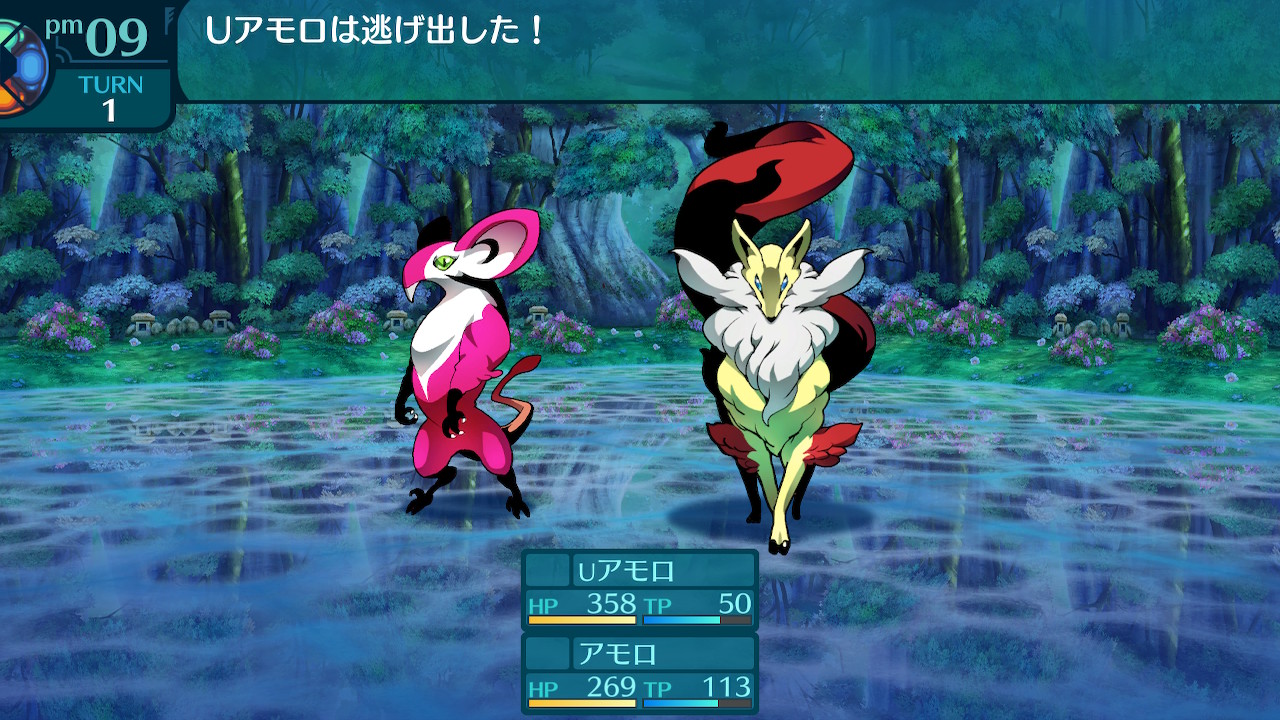 アモロ